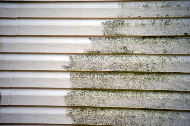 Best Moving and Downsizing Cleanouts  in Bent Creek, NC